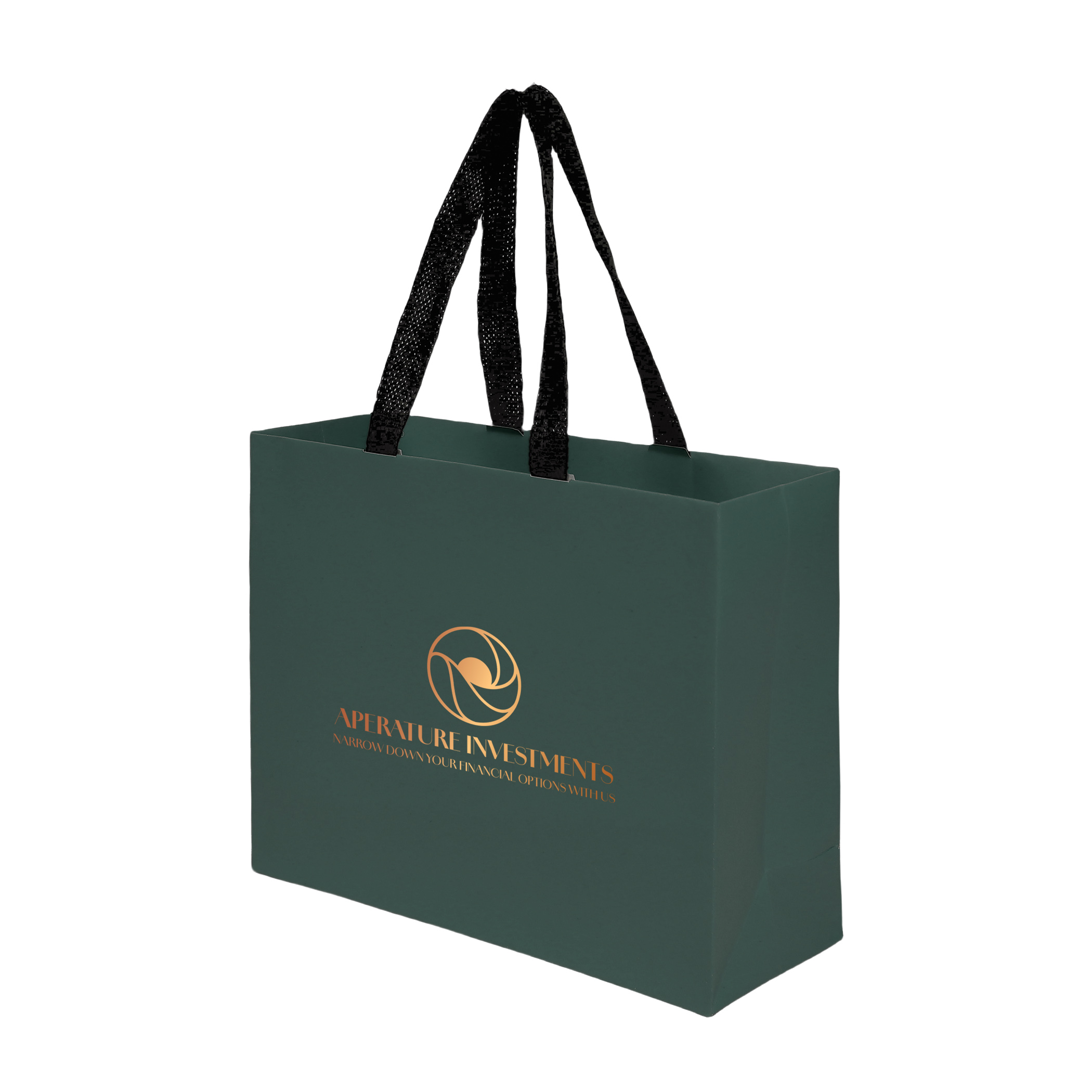 Sugarcane Paper Bag with Embedded Web Style Paper Handles - 5