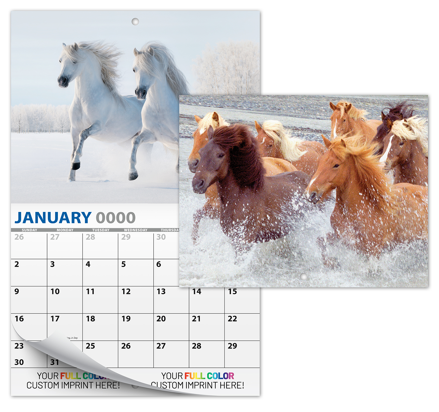 13 Month Custom Appointment Wall Calendar (High Gloss UV-Coated Cover)- HORSES 1