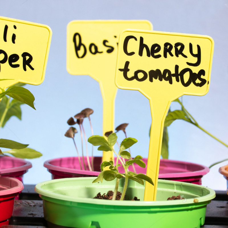 Garden Horticultural Plant Labels 3