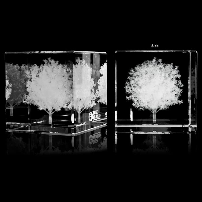 Crystal Cube Award