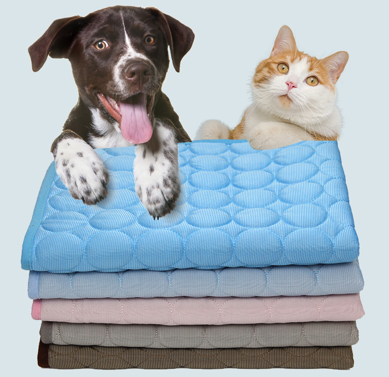 Pet Dog Cat Mat 2