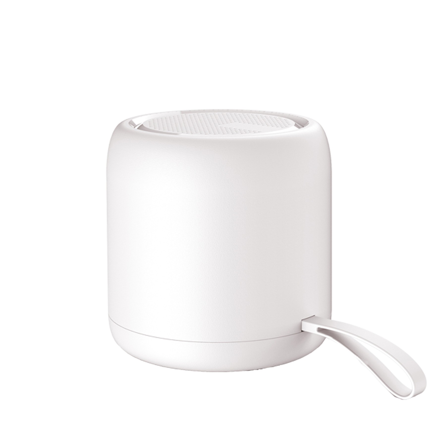 Speaker With Mic 2