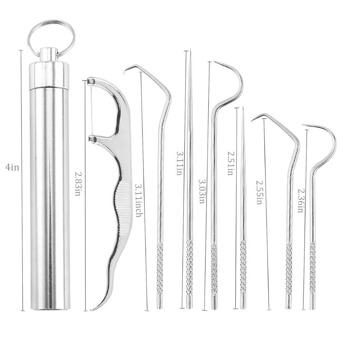 Portable Stainless Steel Oral Care Pick Kit 2