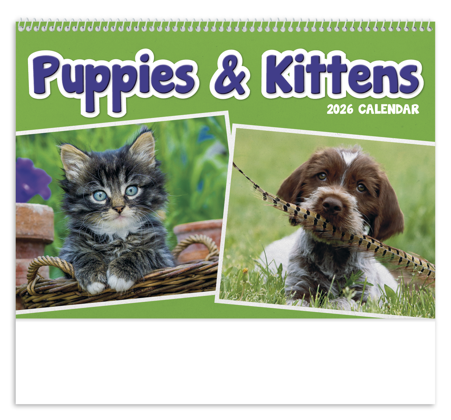 Triumph® Calendars Puppies & Kittens Pocket Calendar 3