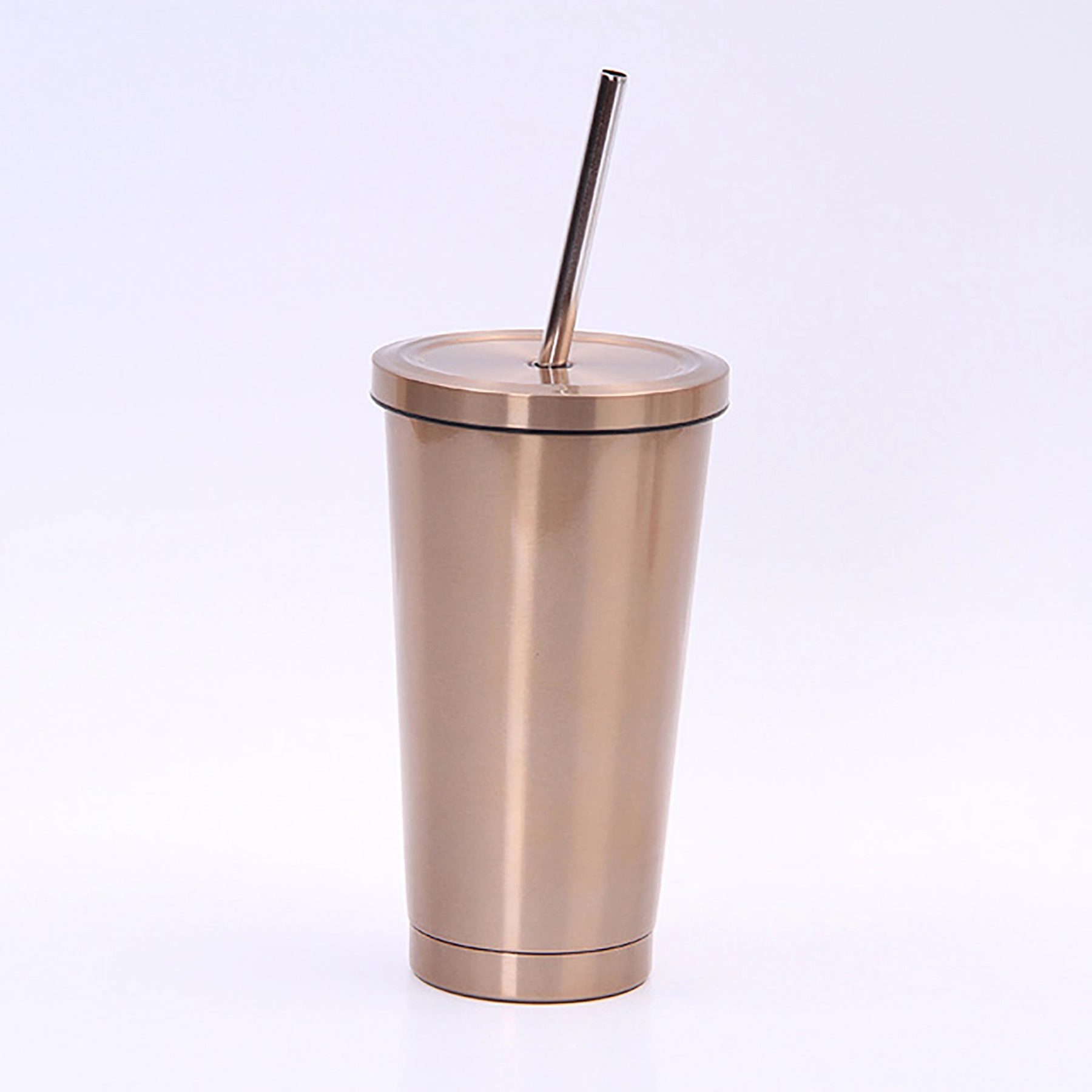 Insulated Stainless Steel Water Bottles with Straw 20 Oz 20