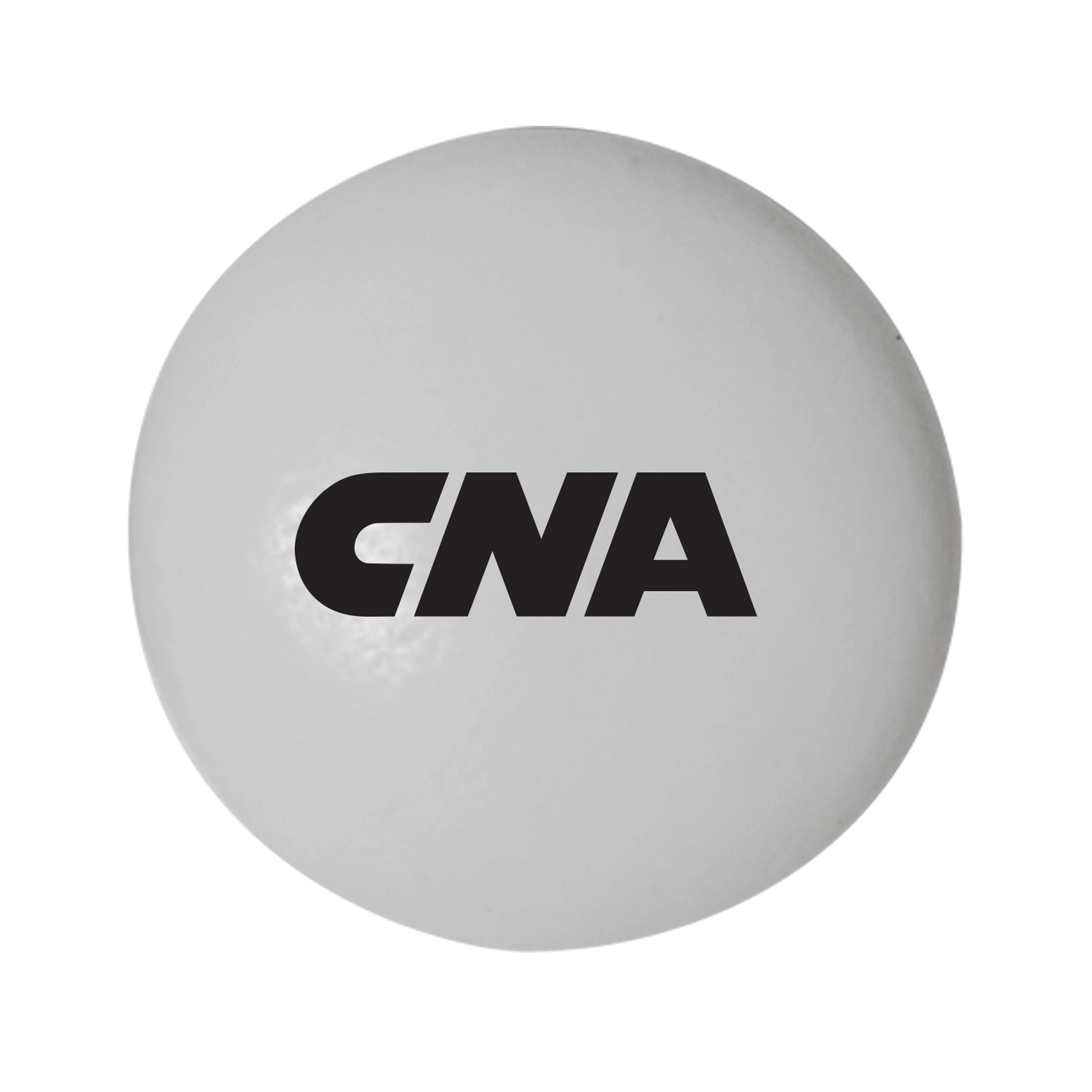 BULK PRINTED CHOCOLATE MINTS 12