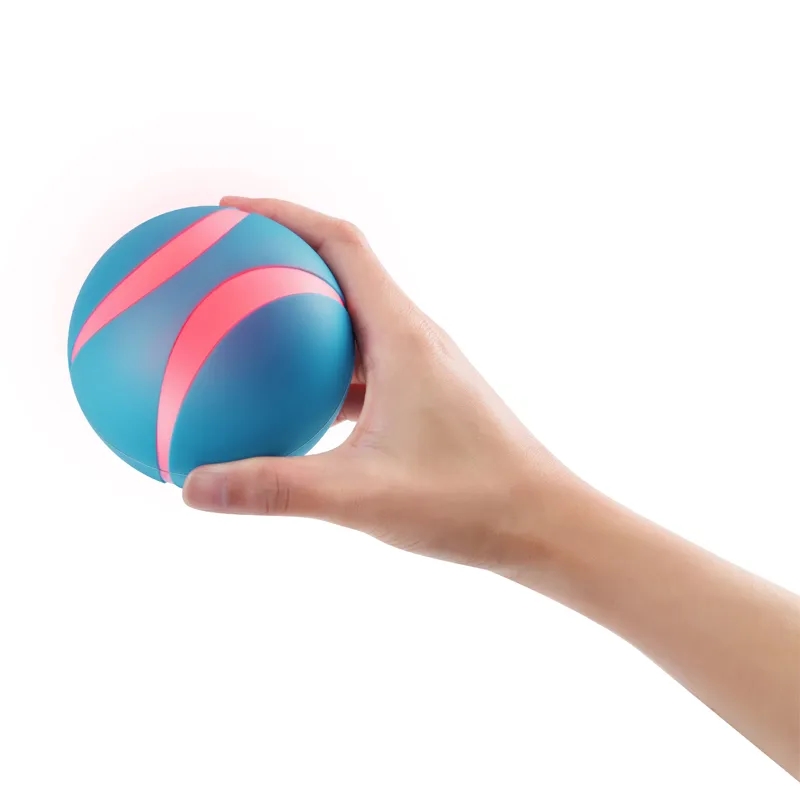 Remote Pet Ball 6