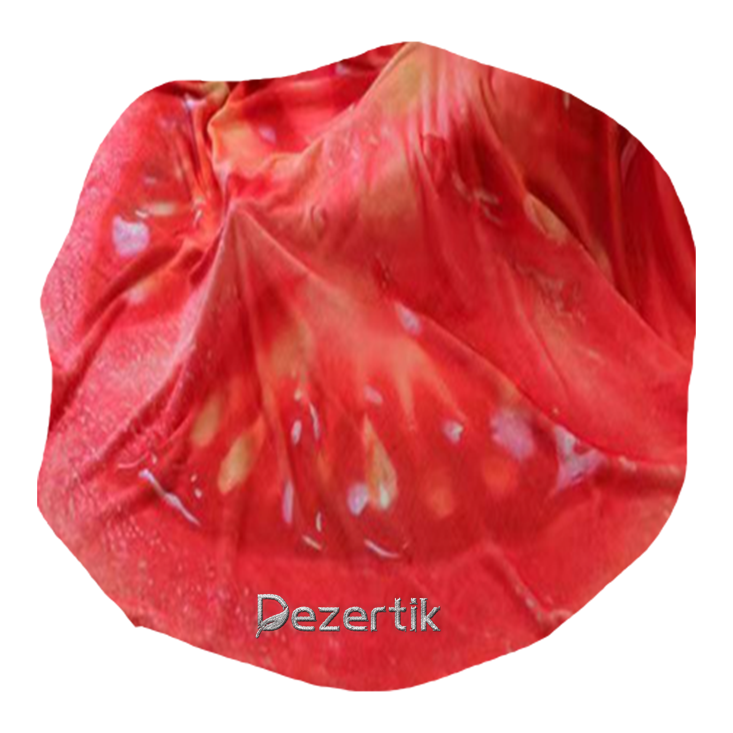 Flannel Fruit Veggie Burrito Blanket 1