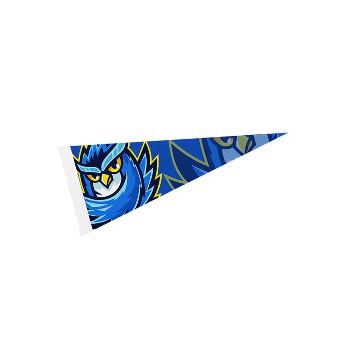 4" x 10" Pennant 2