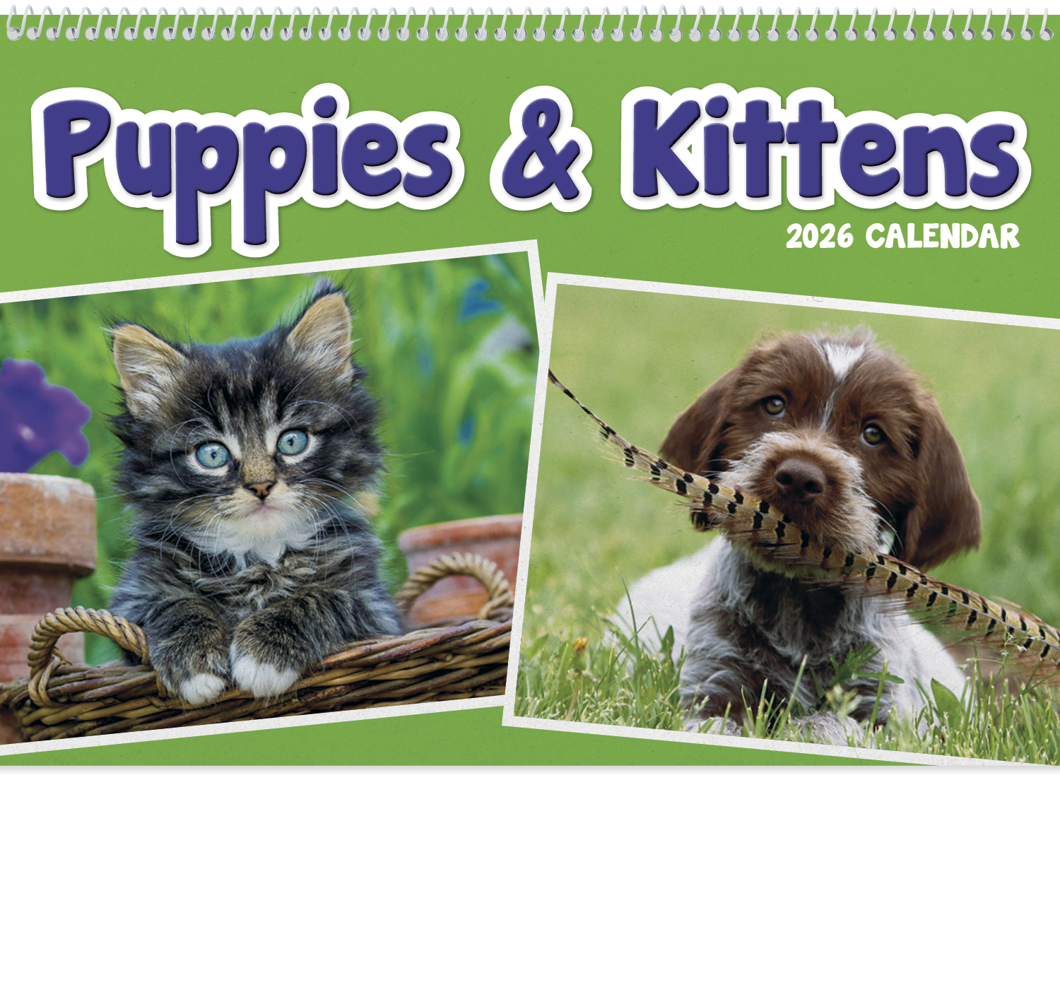 Triumph® Calendars Puppies & Kittens Pocket Calendar 2