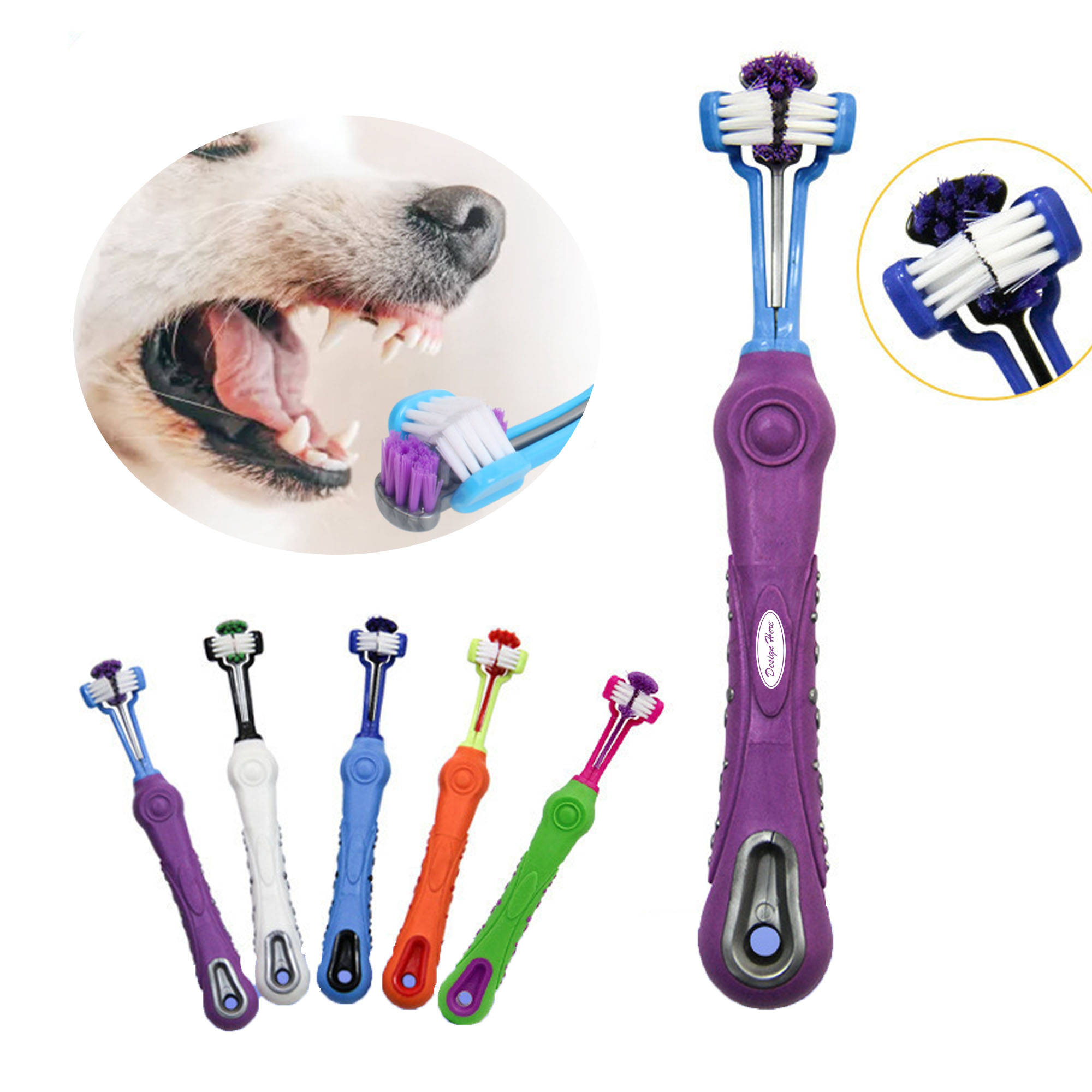 Essential Toothbrush for Pet Dental Health and Hygiene 2