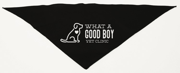Personalized Small Black Triangle Pet Bandana