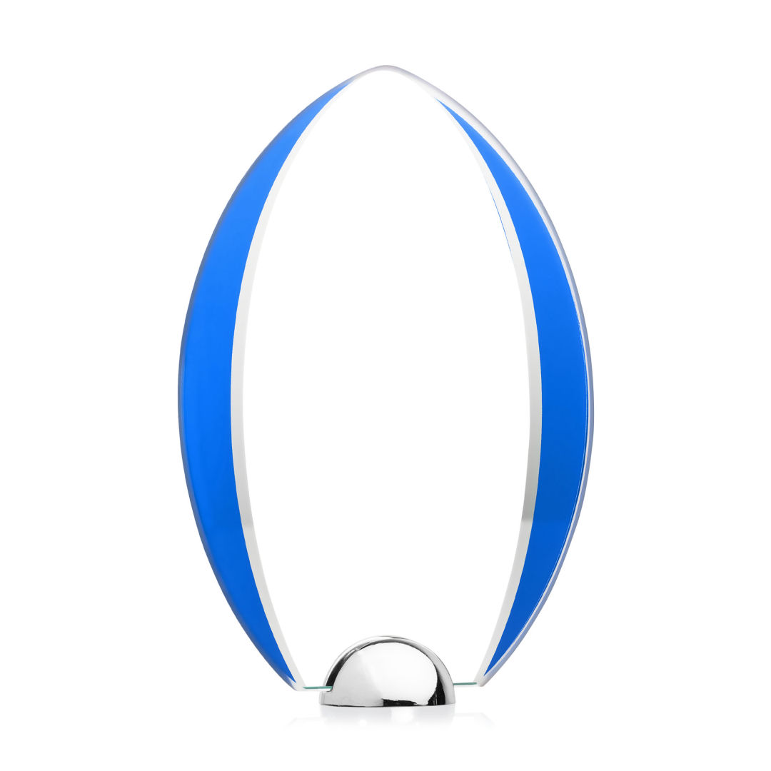 Lincoln VividPrint™ Award - Blue 7