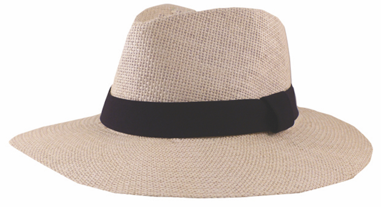 Straw Hat 1