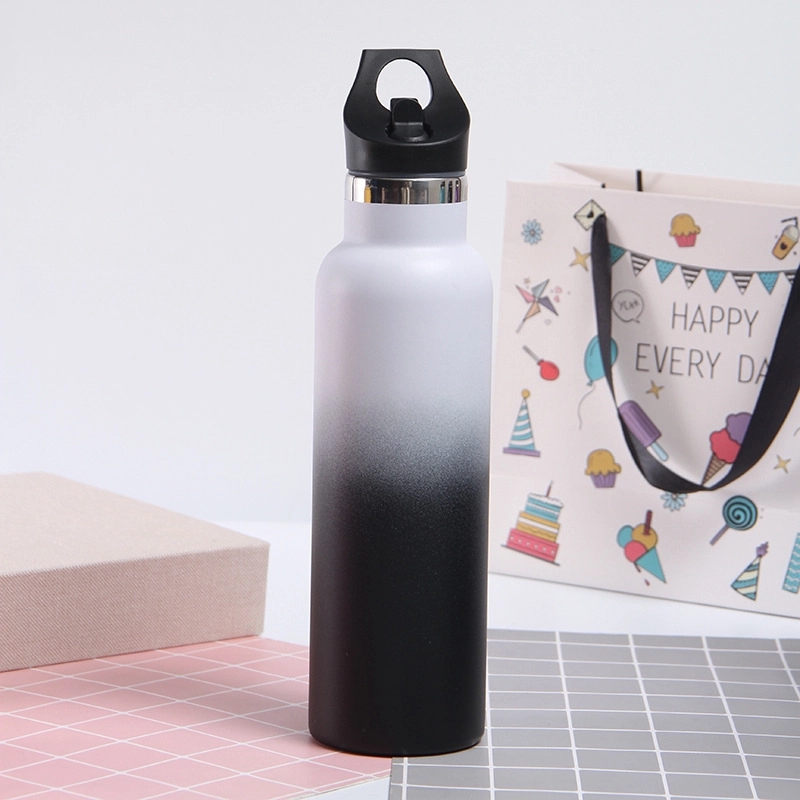 20 oz Stainless Steel Water Bottle w/Straw Lid 16