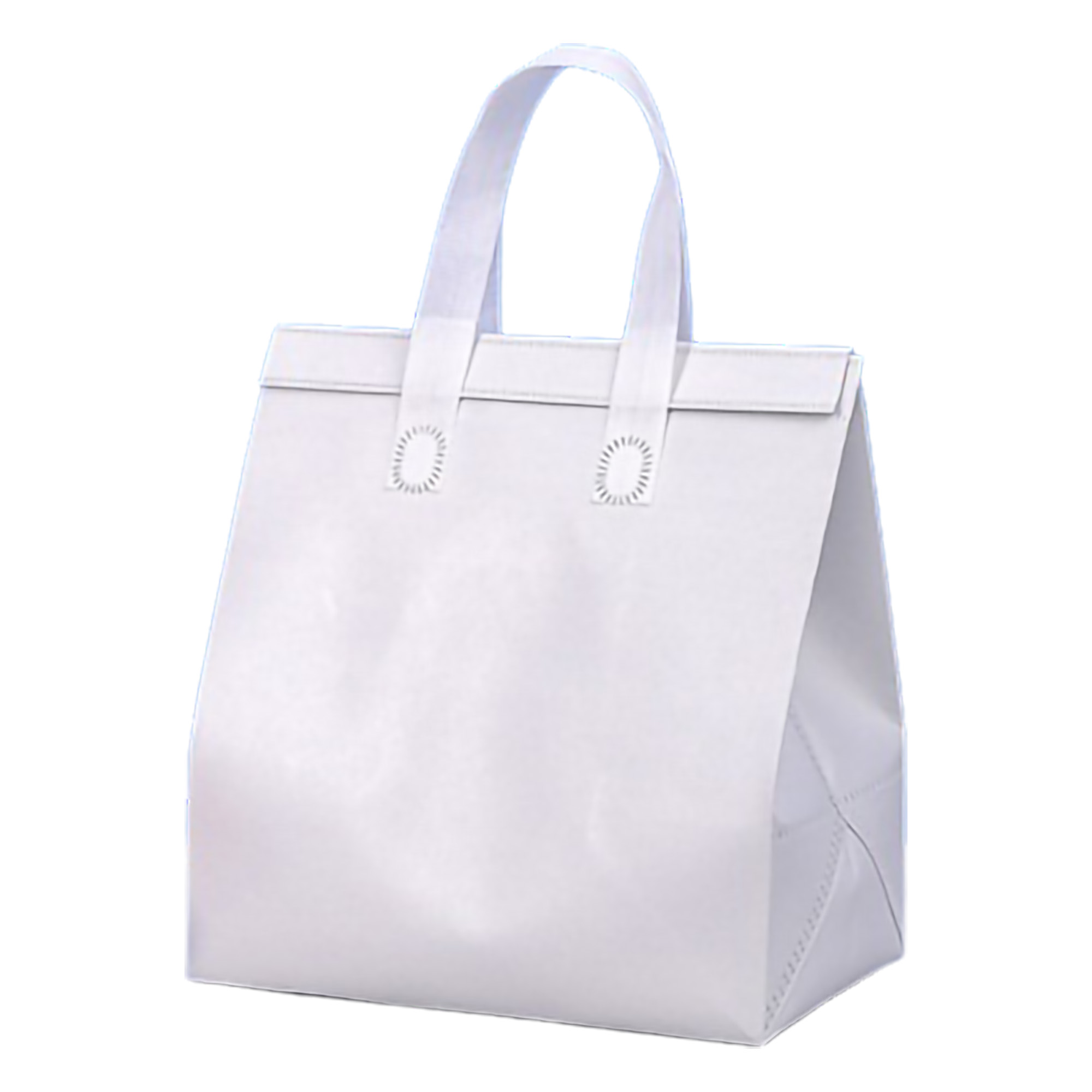 Waterproof Cooler Insulated Tote Bag MOQ50 7