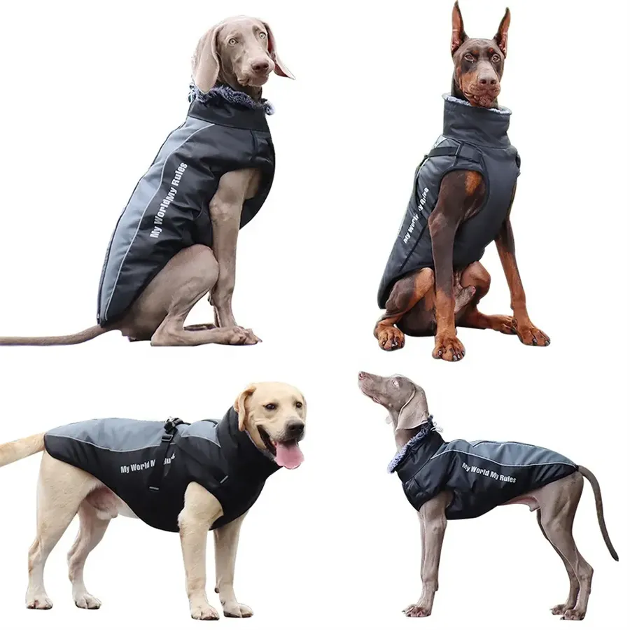 Windproof and Warm Dog Jackets 2