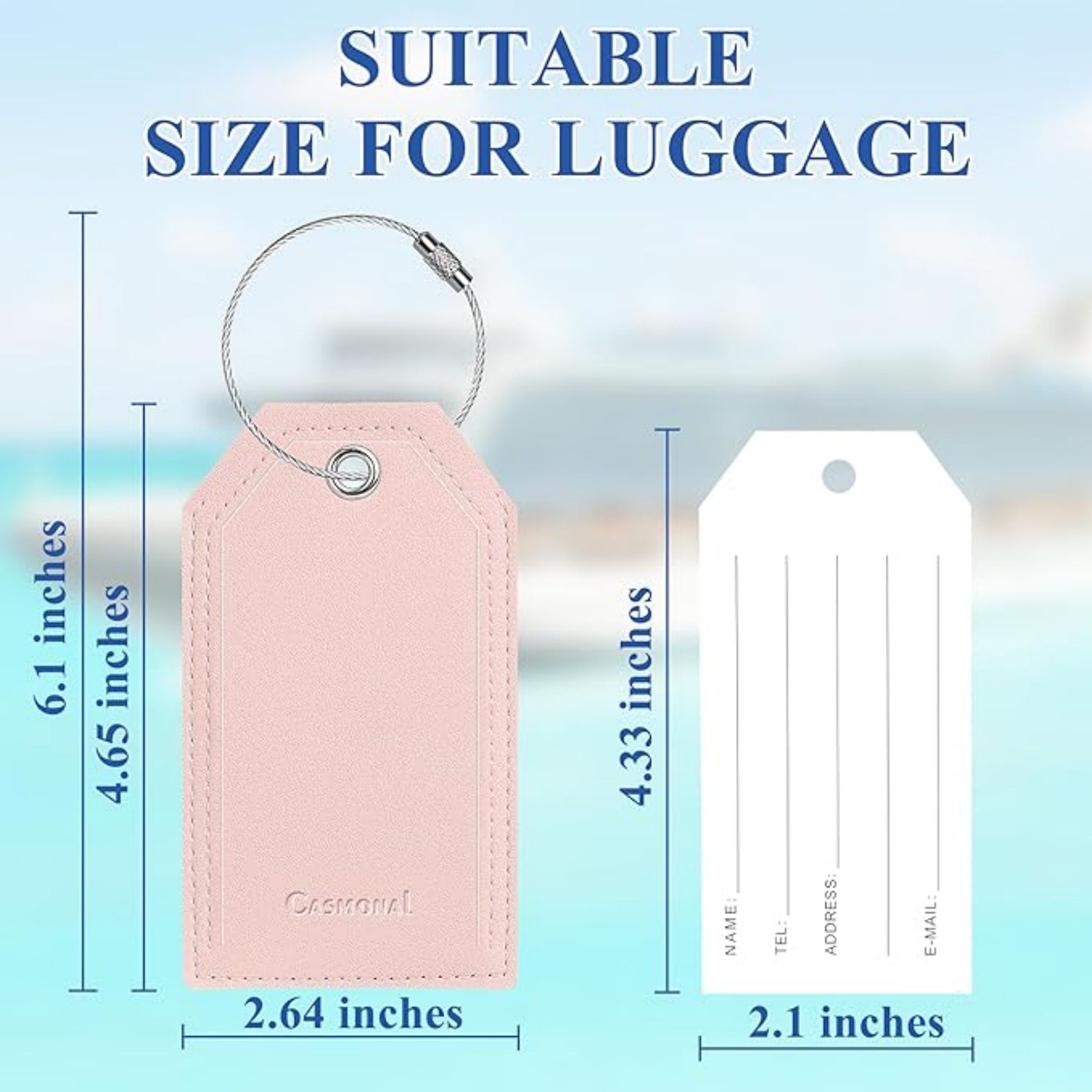 Personalized Luggage Tags 2