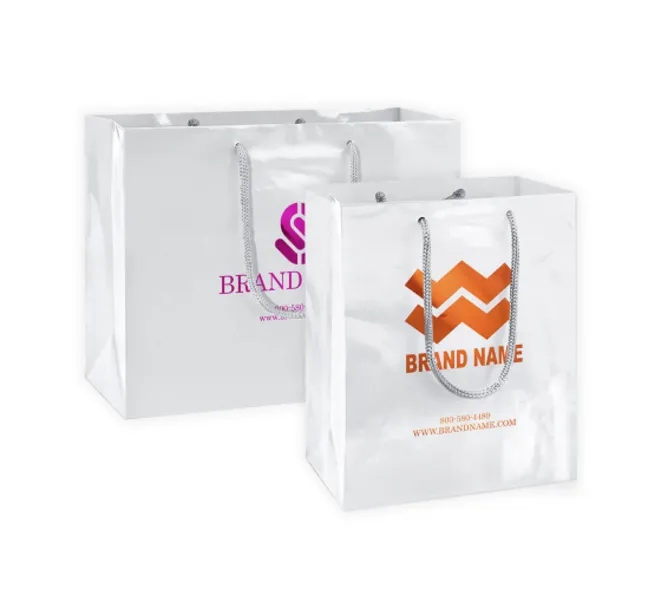 Foil Printed Paper Bags (Double Sided printing) 3