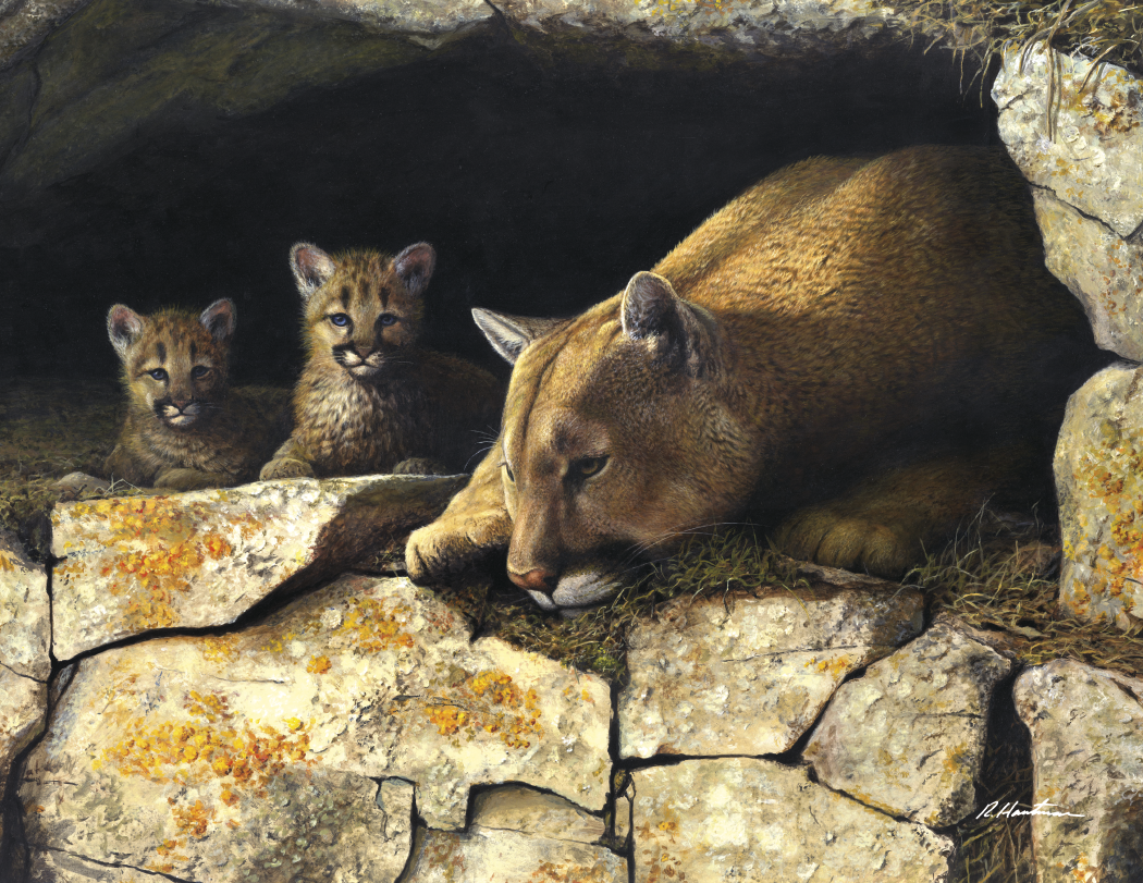 Triumph® Calendars Wildlife Art by the Hautman Brothers Calendar 8