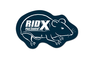 Rat/Mouse Vinyl Jar Opener 19