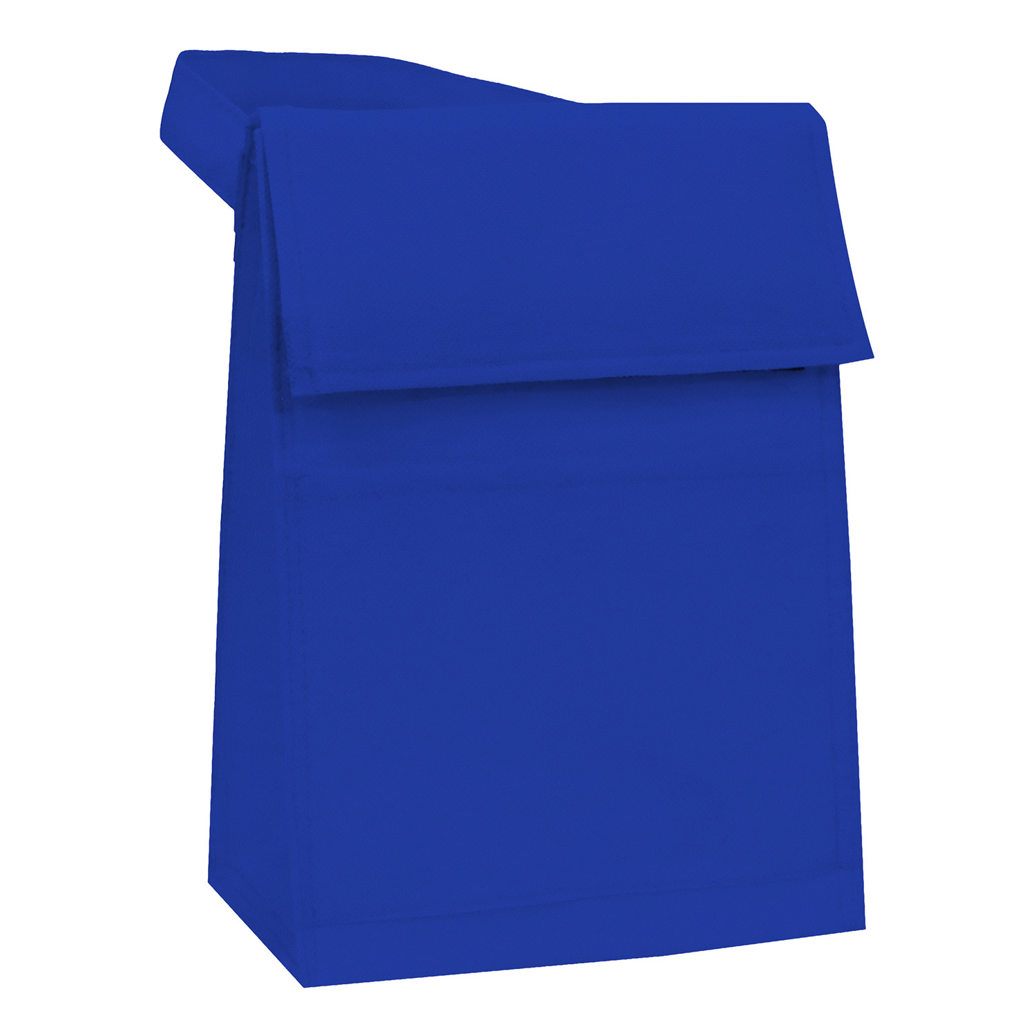 Non Woven Lunch Pack 11