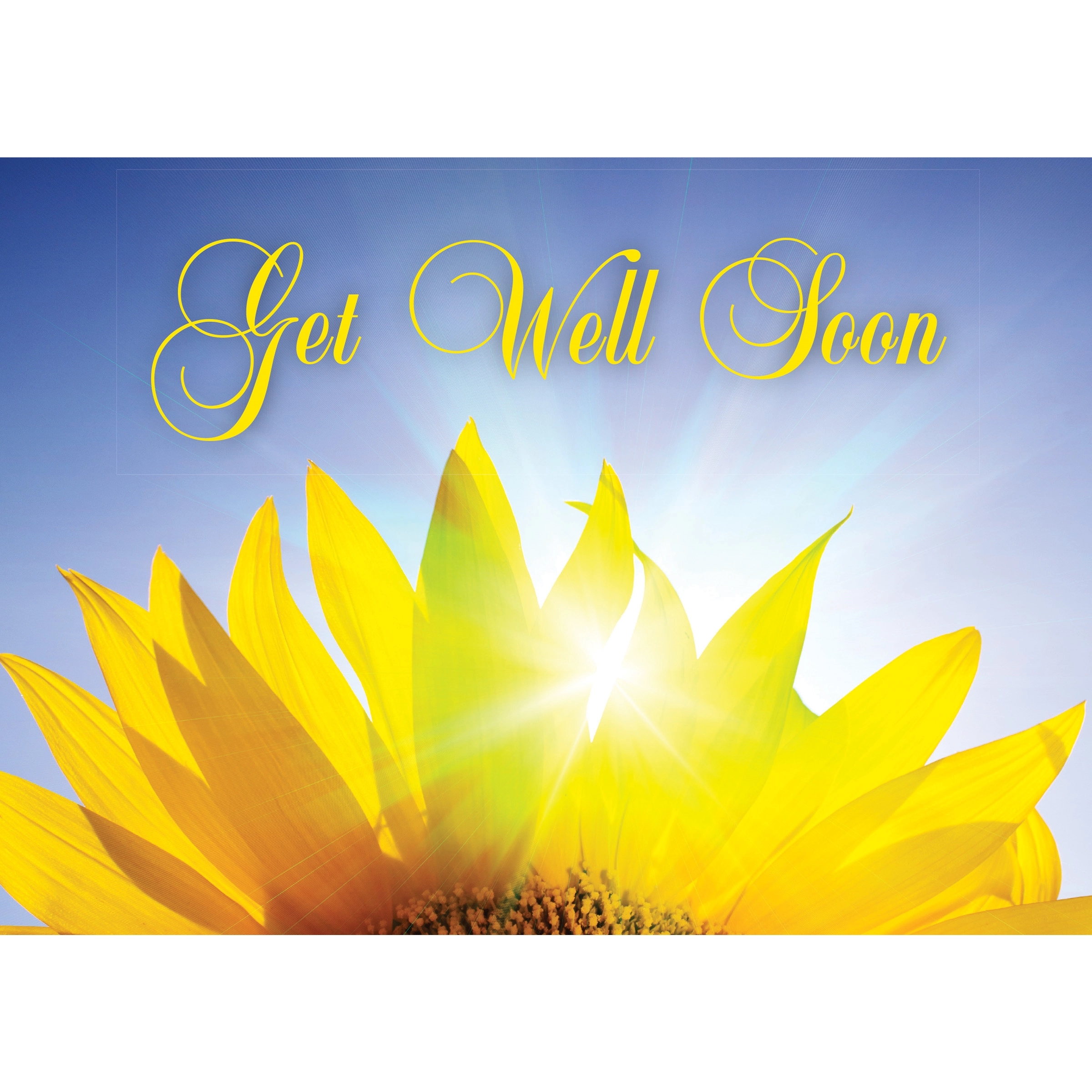 Radiant Petals Get Well Cards 2