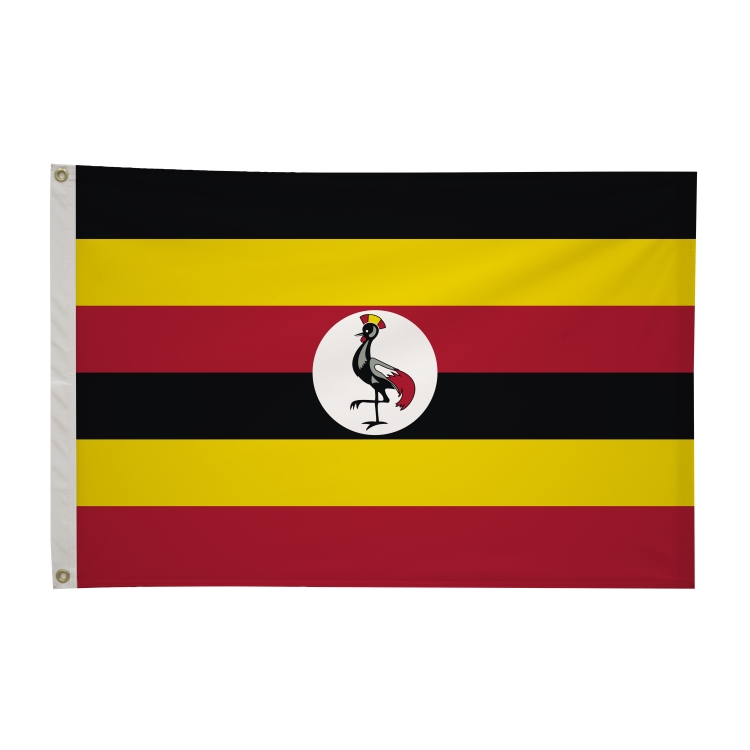 2' x 3'International Flag 152