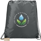 Oriole RPET Drawstring Bag 14