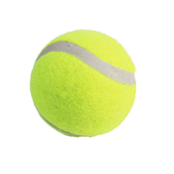 Pet Training Tennis Ball 1