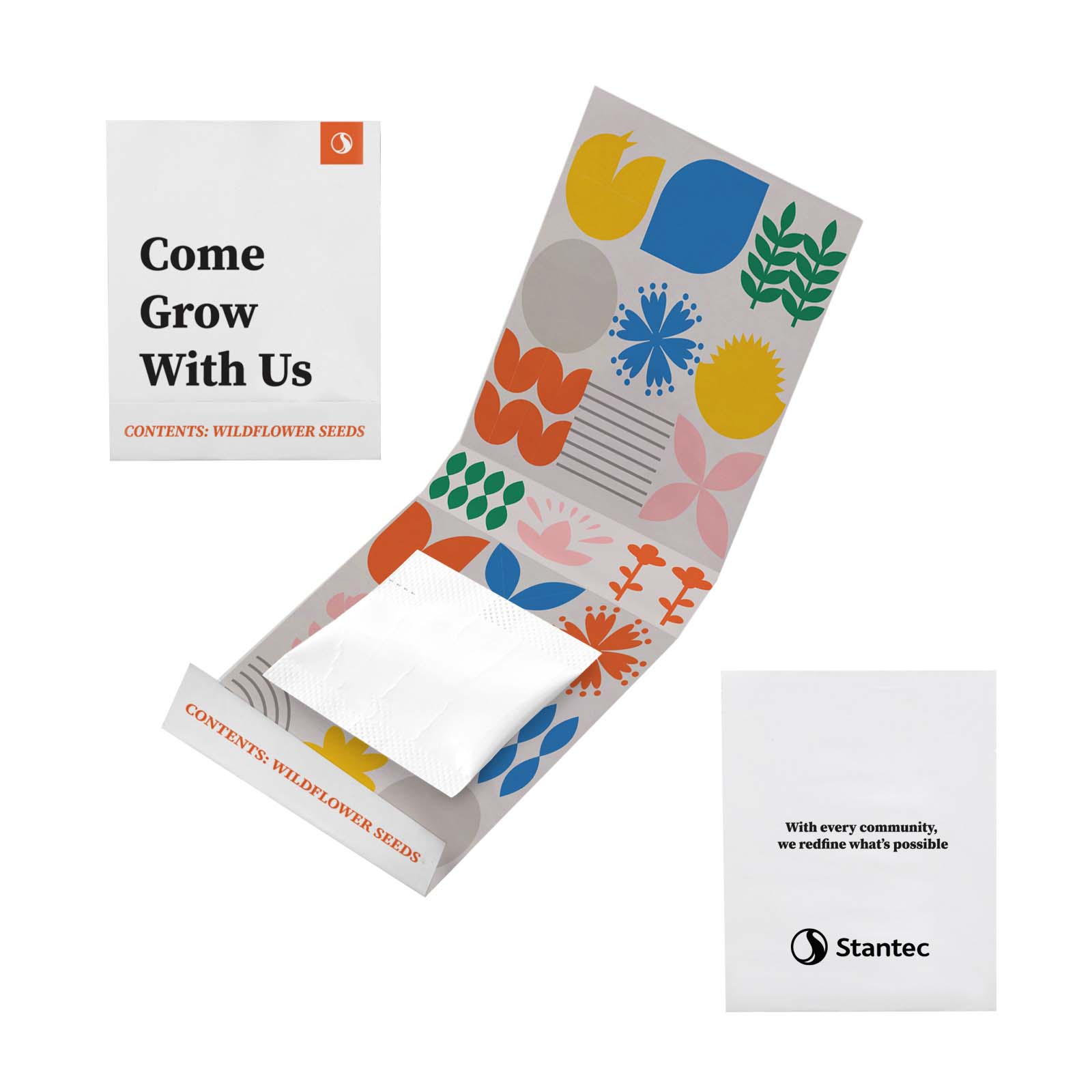 Cilantro Seed Matchbook