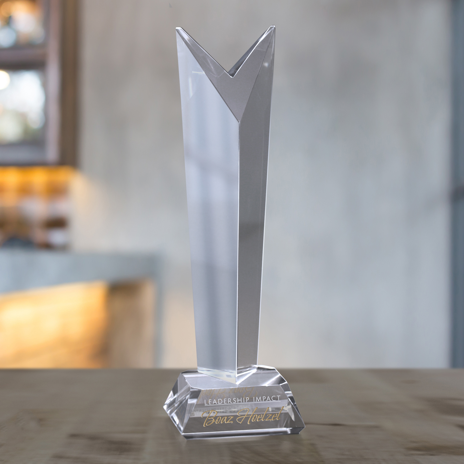 Vincent Award 5