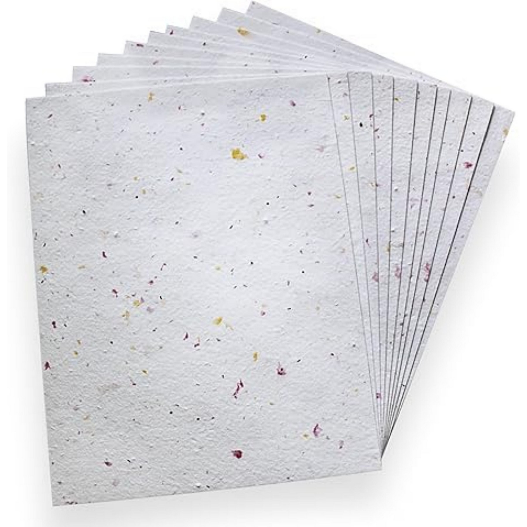 Plantable Seed Paper 2