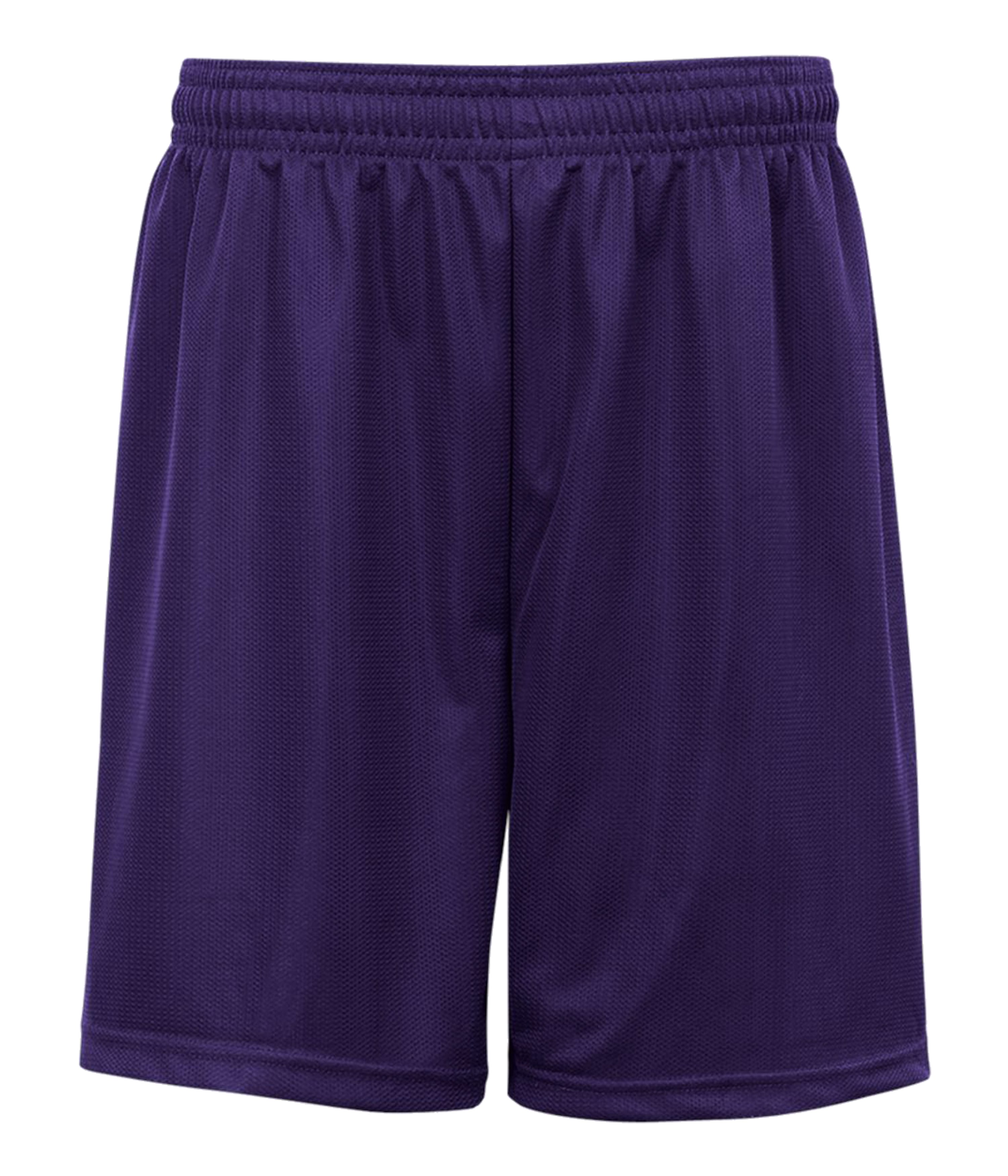 MINI MESH SHORT 6