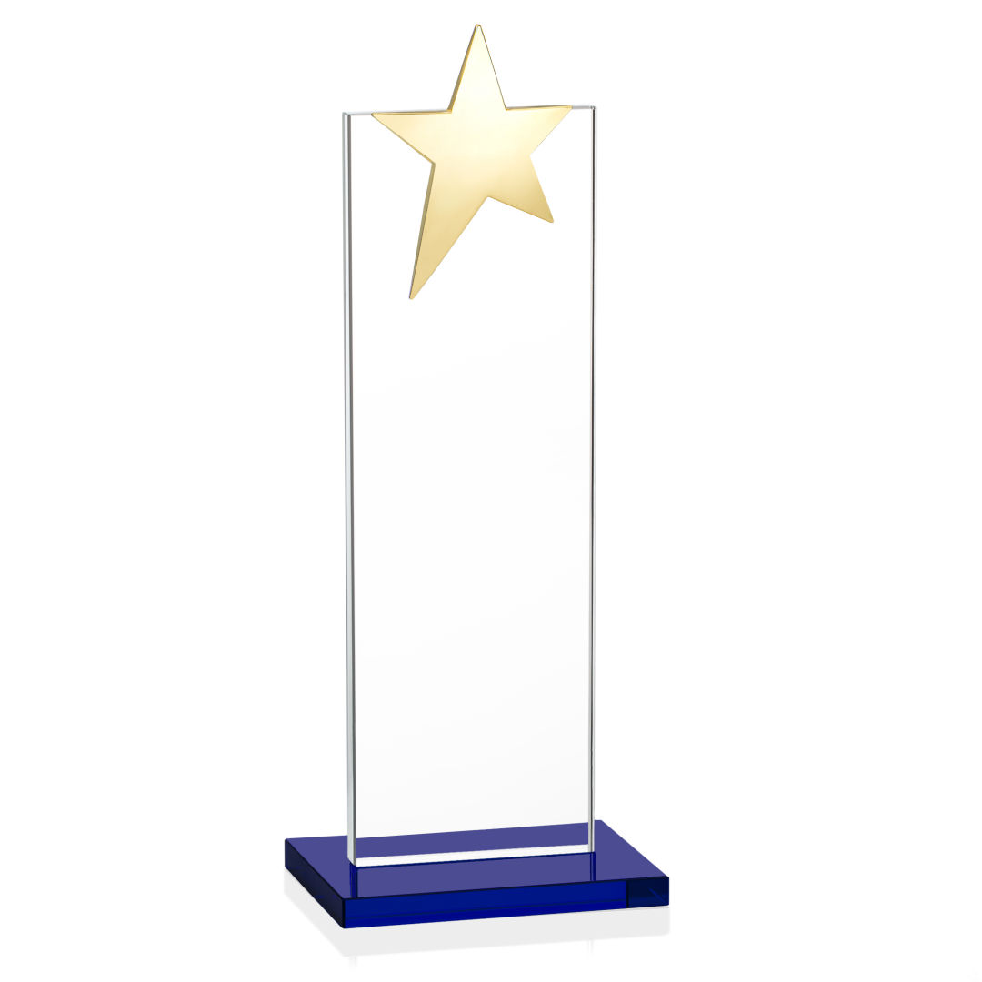 Bryanston Gold Star VividPrint™ Award - Blue 10