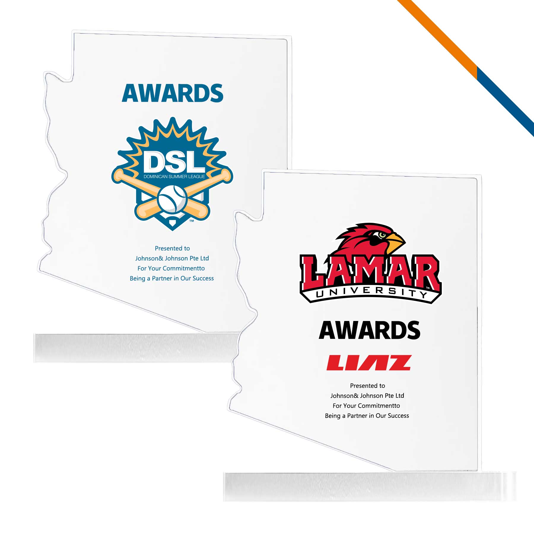 Ricty Arizona Map Award 2