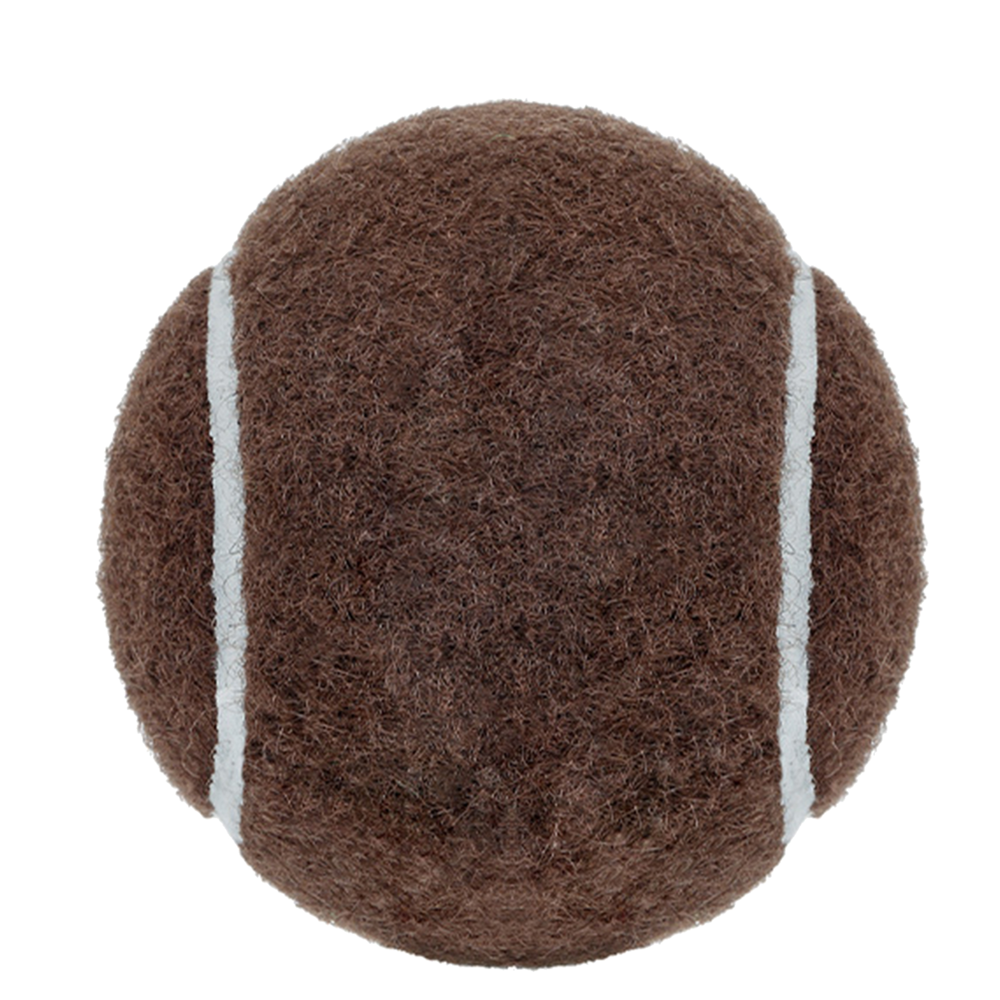 Customizable Dog Play Ball 8
