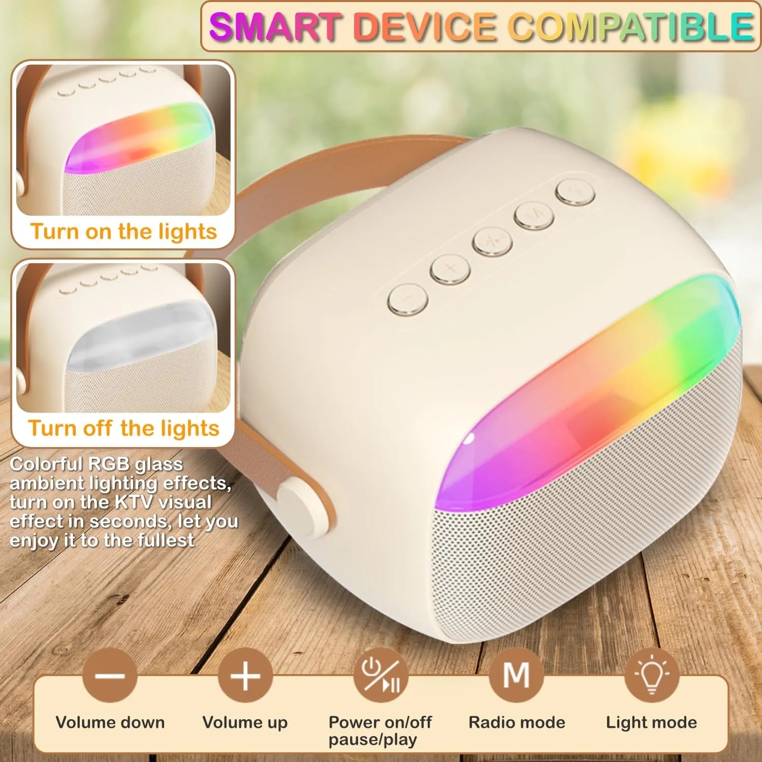 Portable Karaoke Bluetooth Speaker With Microphones 4