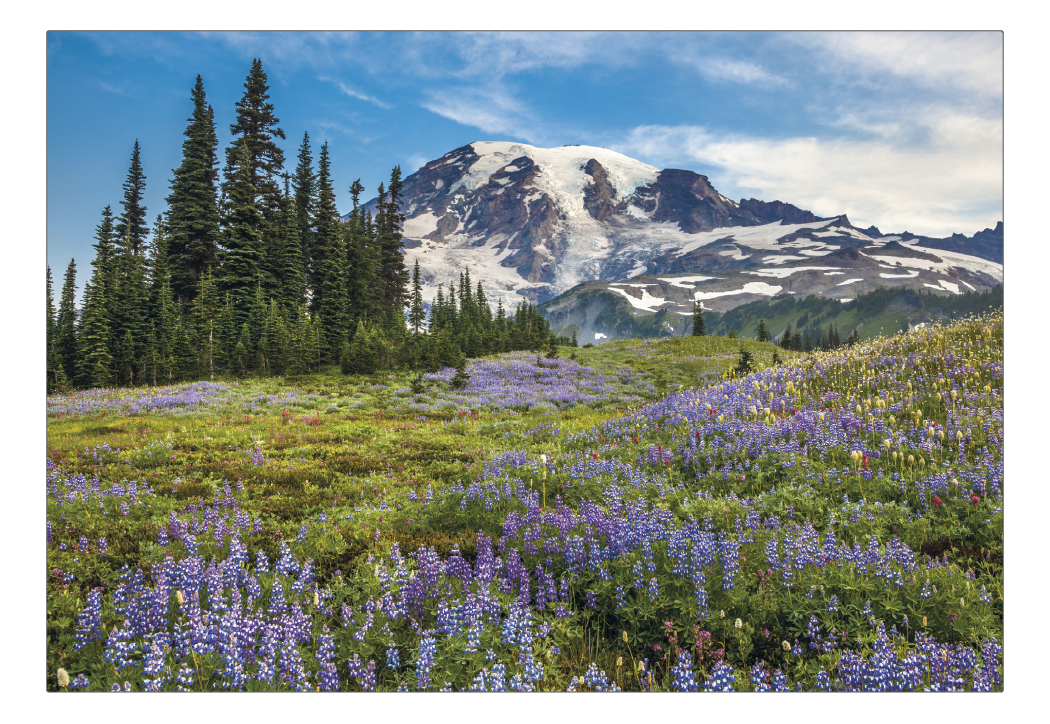 Triumph® Calendars American Splendor Pocket Calendar 31
