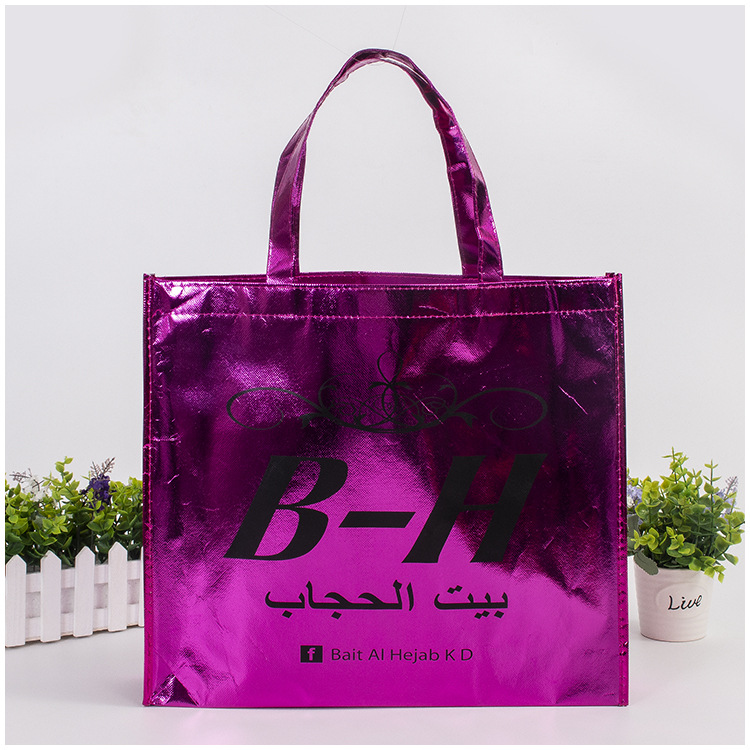 Reusable Gift Bag Shopping Tote 5
