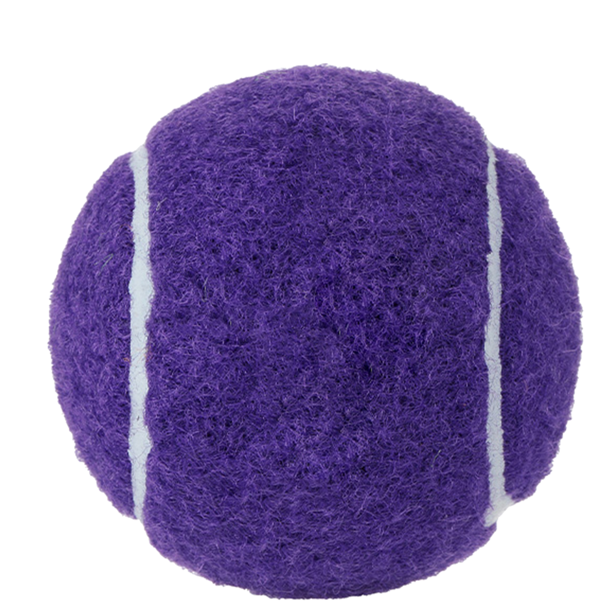 Customizable Dog Play Ball 16