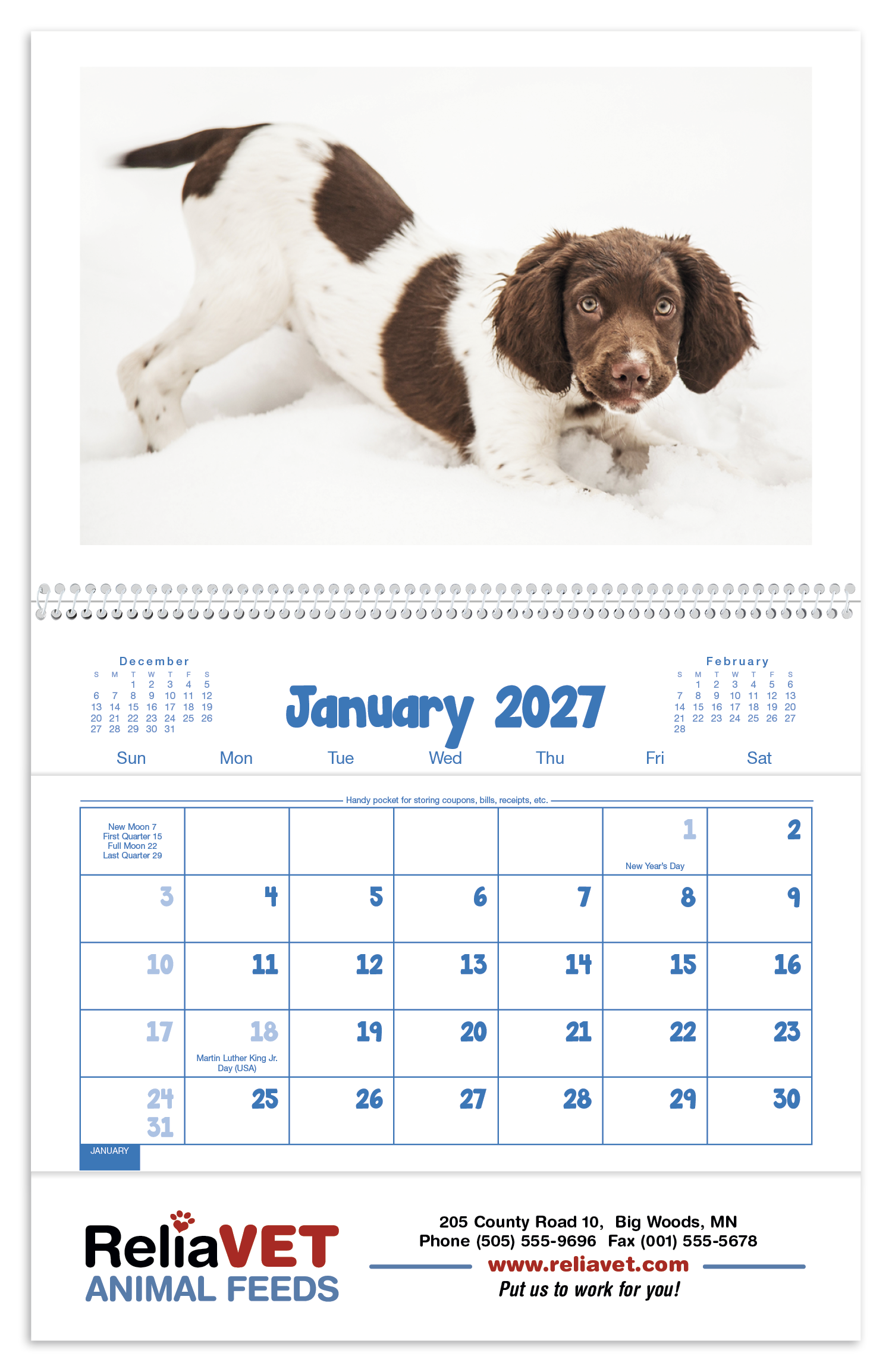 Triumph® Calendars Puppies & Kittens Pocket Calendar 37