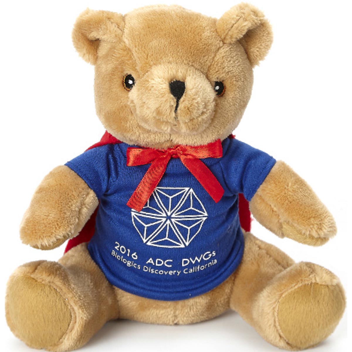 10" Mr. Superhero Bear with Cape 1