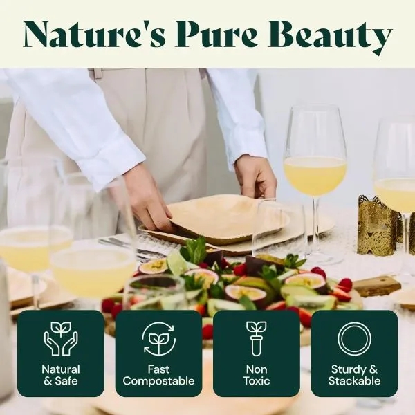 Wholesale Eco-Friendly Palm Leaf Plates 6
