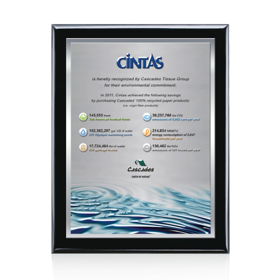 Oakleigh VividPrint™ 3D Plaque - Black/Silver 4