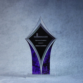 Acrylic Diamond Trophy 11
