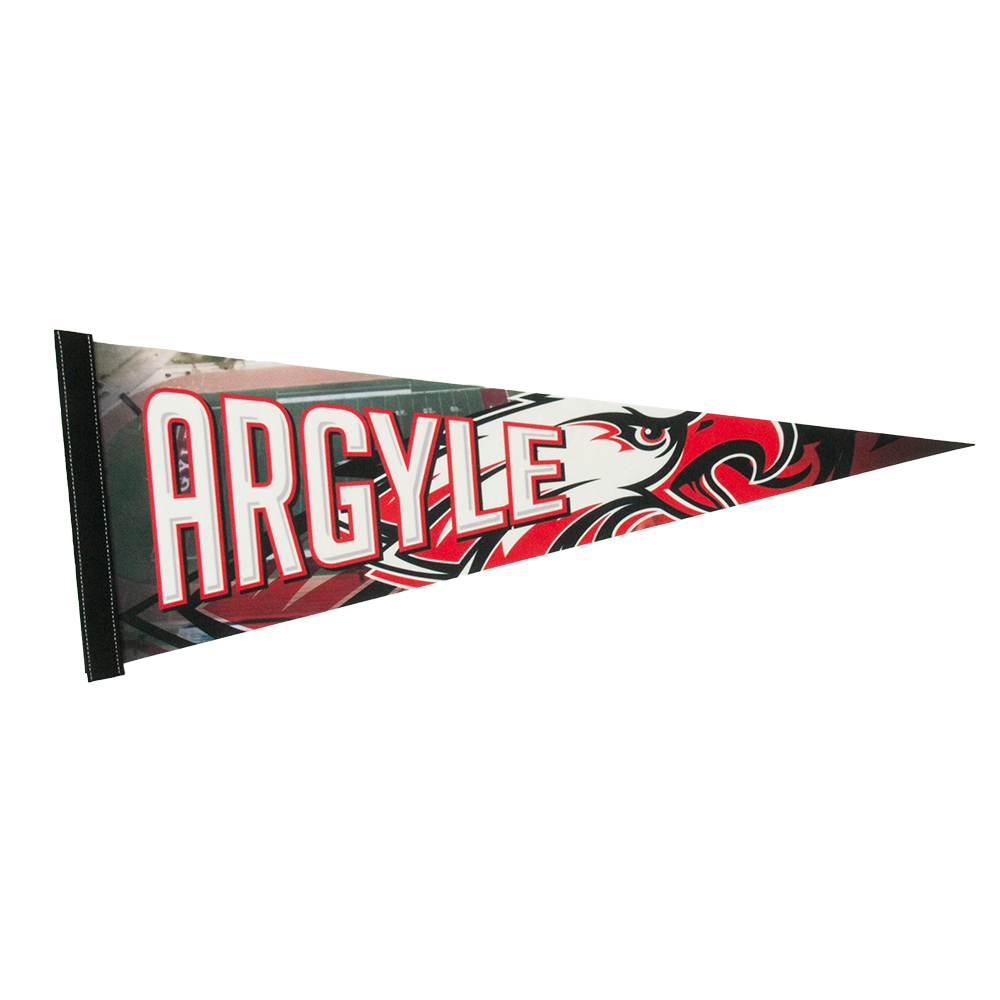 9" x 24" Full Color Felt Pennant 21