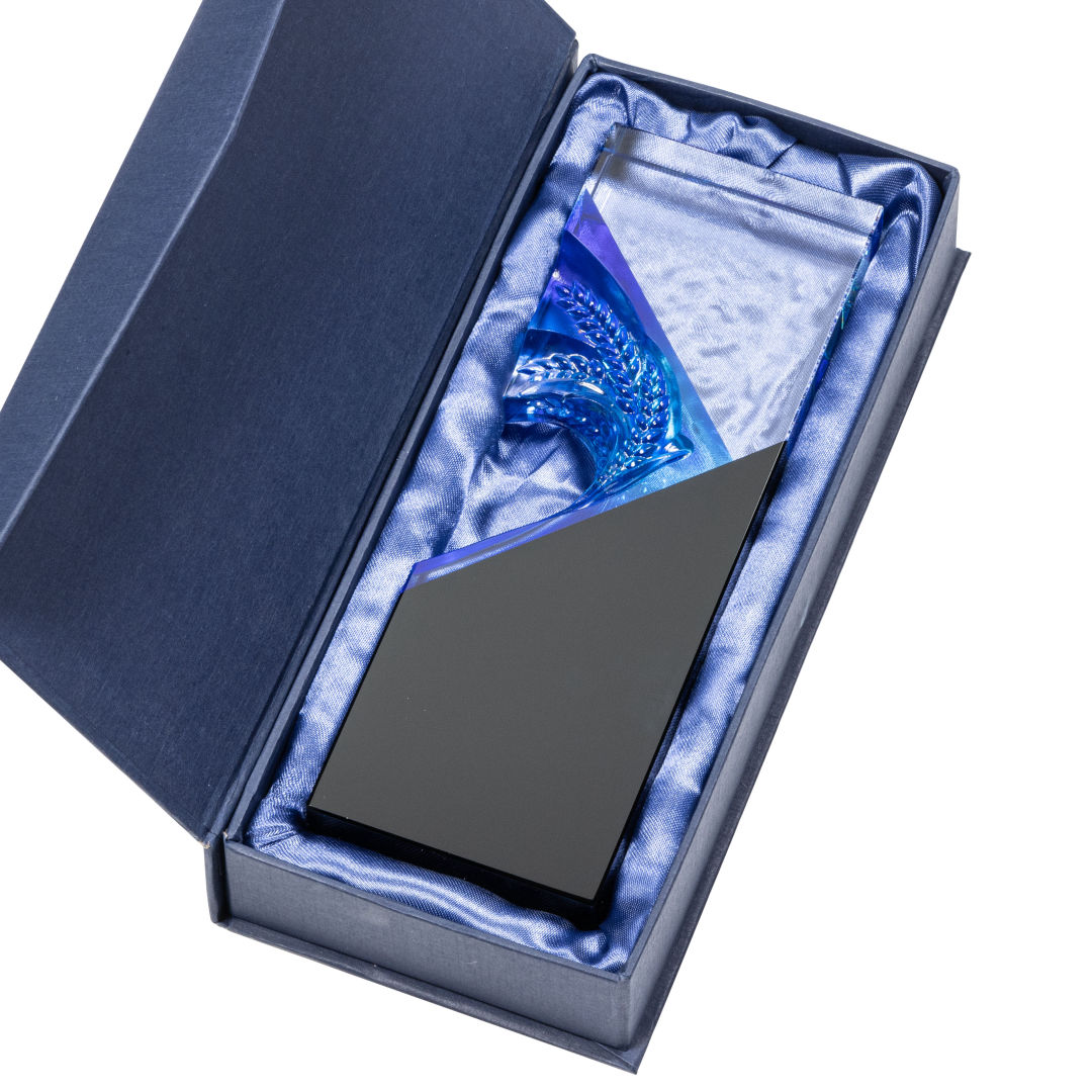 Baywell Award - Black