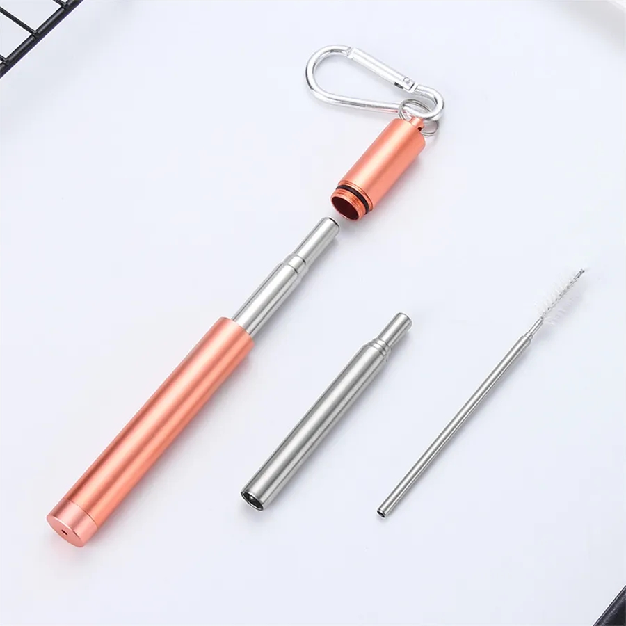 Stainless Steel Straw Keychain 5