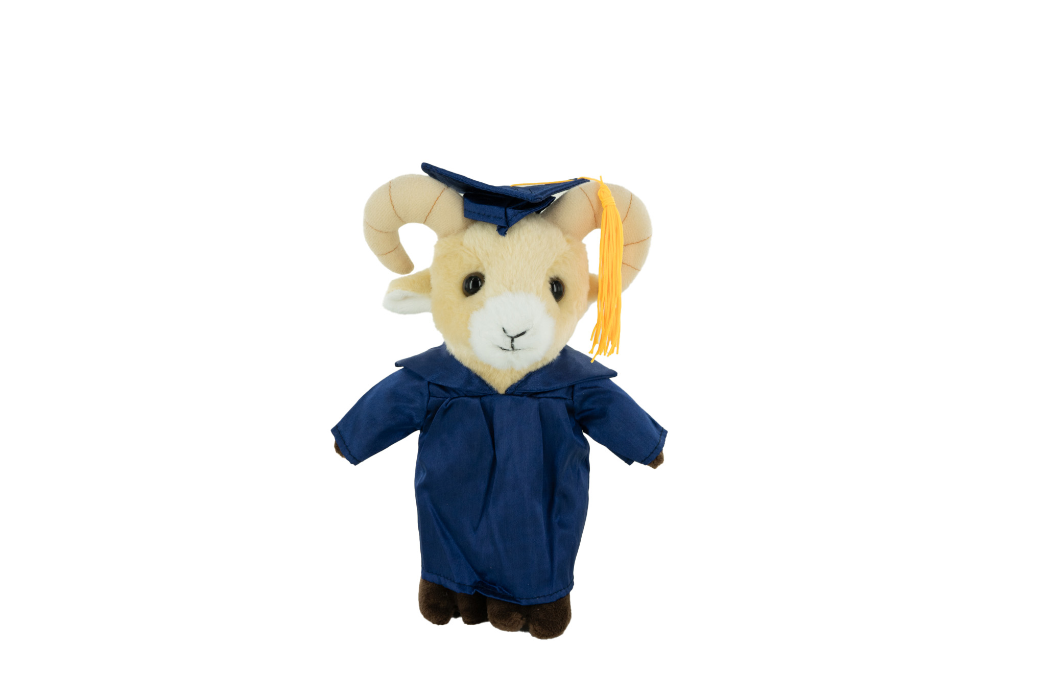 Plush Ram with Graduation Cap / Gown 5